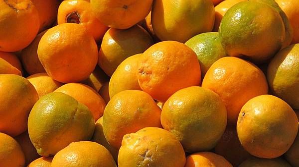 Nagpur_orange.JPG